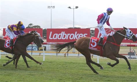 Hobart Racing Tips .